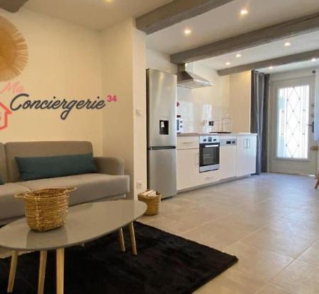 Superbe Appartement Climatise Avec Patio Montpellier Eksteriør bilde